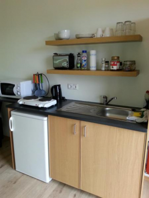 Гостиница Guesthouse Hvítafell  Laugar